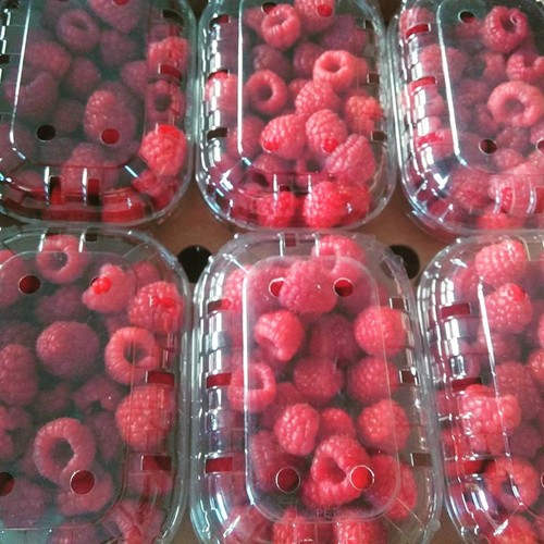 13260122_706315946174836_5667554578809121408_n.jpg 13260122_706315946174836_5667554578809121408_n.jpg