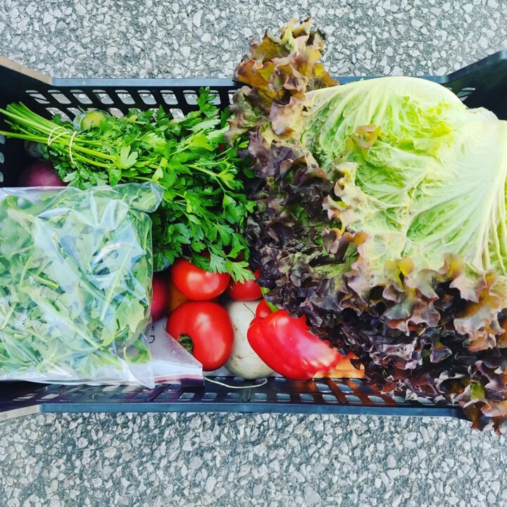 362615392_661839079306839_1811965979607029553_n.jp