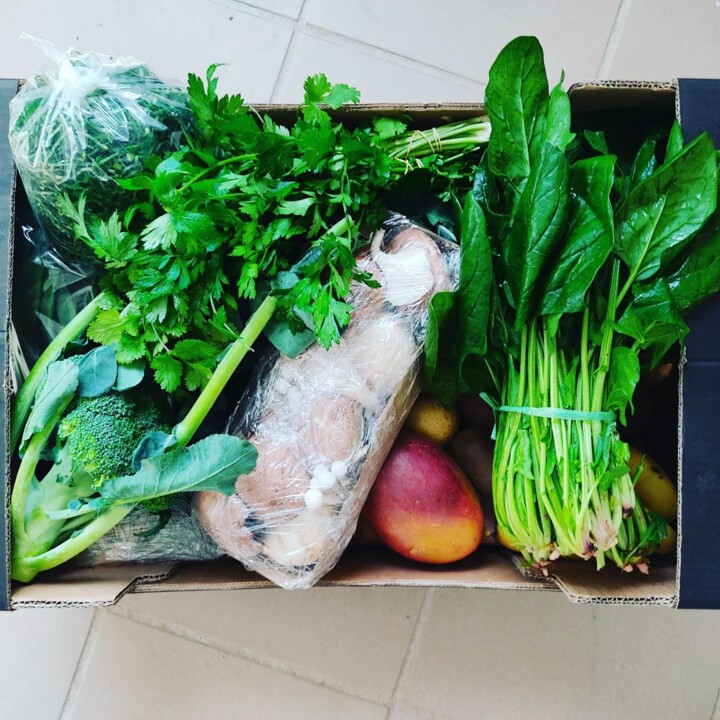 316533017_2475682905904789_5070165961503749480_n.j