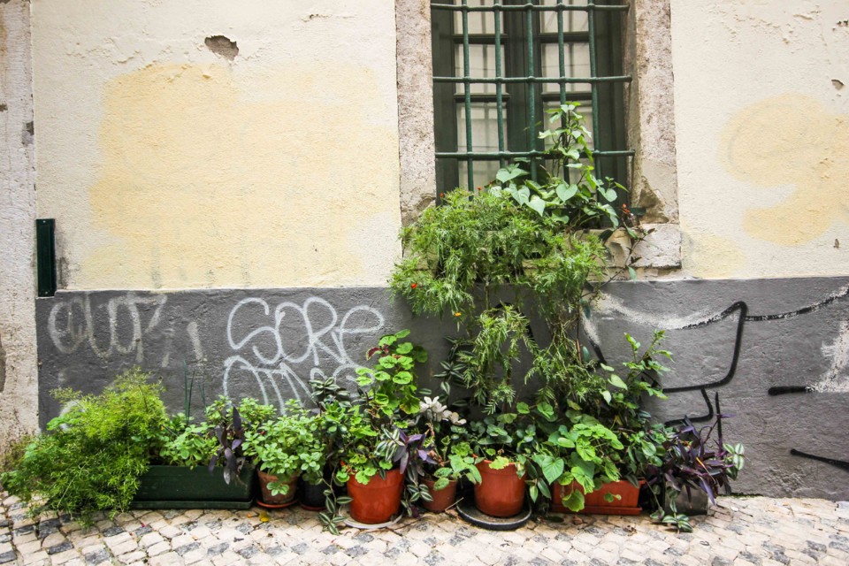 rua da silva 19.jpg rua da silva 19.jpg