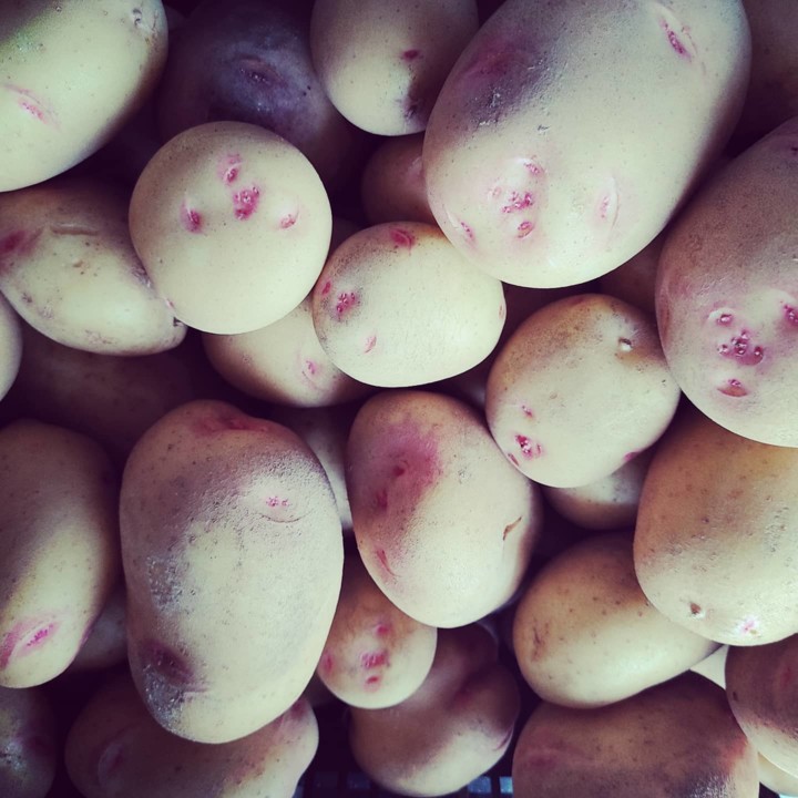 155174369_1960189164120835_6897988341066961138_o.j