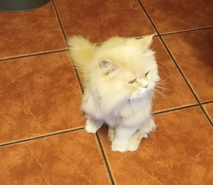 Não me canso disto_quem.jpg