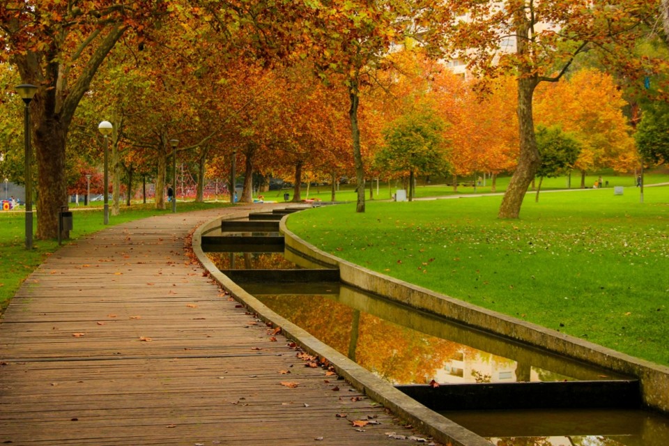 outono quinta das conchas 5.jpg