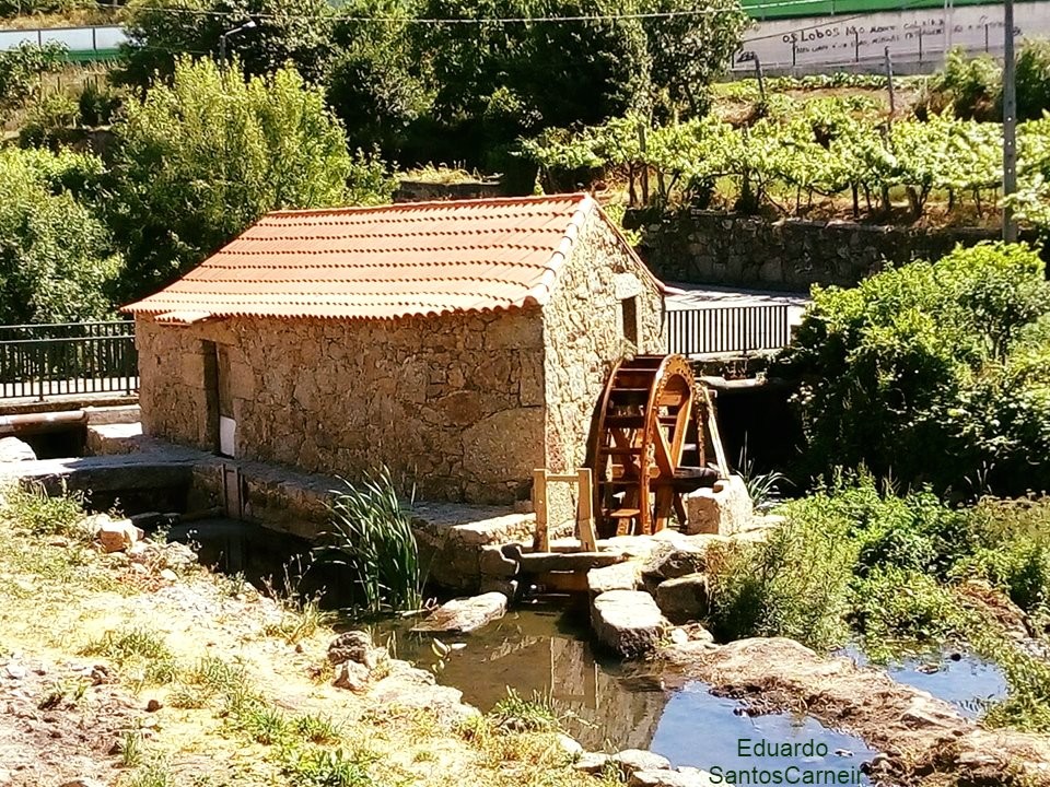 esmeriz 2019 moinho EC.jpg