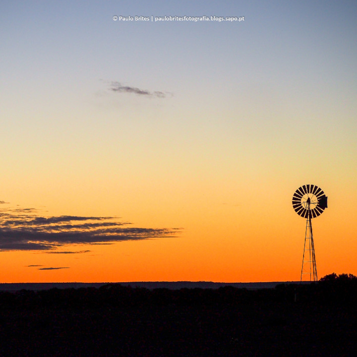 DSC_11469-1-3.jpg DSC_11469-1-3.jpg