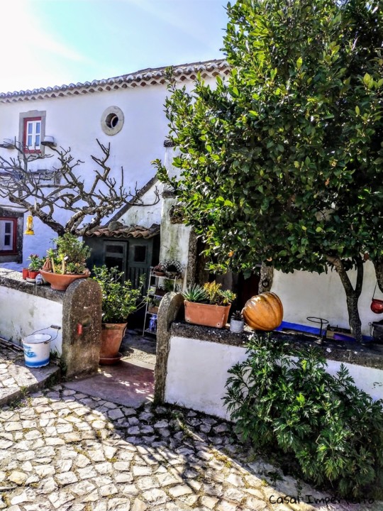 07_02_2022 21_02_15.jpg