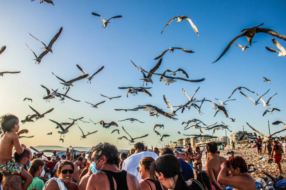 arte xavega 13 a.jpg