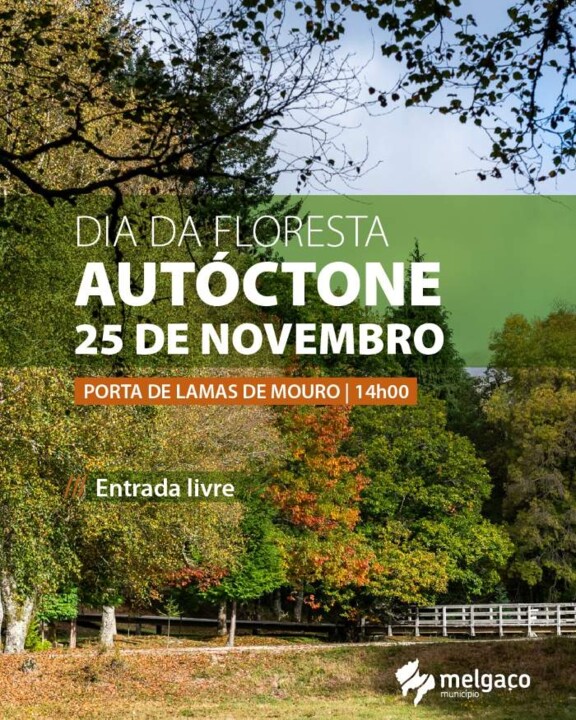 580590698_1272451768258560_4869070844080513362_n.j