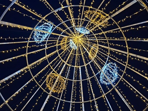 24a_Caminhada_à_Tarde (52).jpg