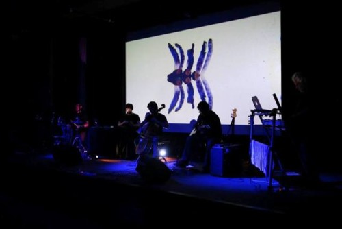 tripe3.jpg tripe3.jpg