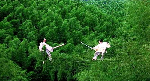 Crouching-Tiger-Hidden-Dragon 5.jpg