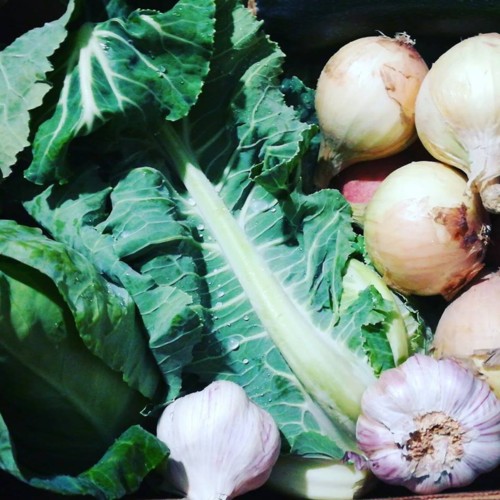 32235662_1094552717351155_1449198669491339264_n.jp 32235662_1094552717351155_1449198669491339264_n.jp