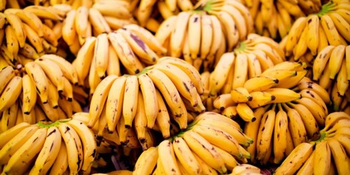 HSF-Bananas de pedra.jpg