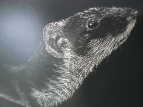 7fc2889e-7a3a-4a75-83d5-6969d4bb3d64.jpg 7fc2889e-7a3a-4a75-83d5-6969d4bb3d64.jpg