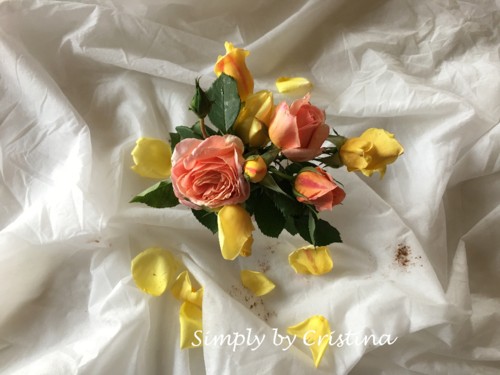 2018-05-24 17.54.49.jpg