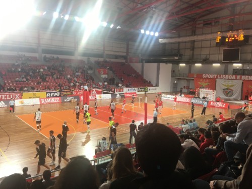 IMG_5645.JPG IMG_5645.JPG