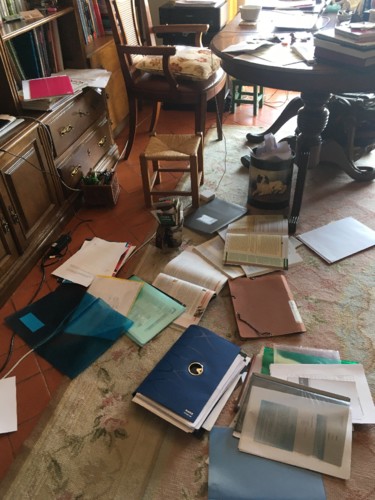 IMG_2319.jpg IMG_2319.jpg