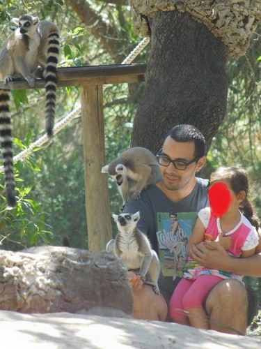 DSCN4939.JPG DSCN4939.JPG