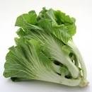 Couve portuguesa.jpg