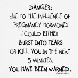 you_have_been_warned_funny_pregnancy_shirt.jpg you_have_been_warned_funny_pregnancy_shirt.jpg
