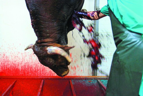 468360.png 468360.png