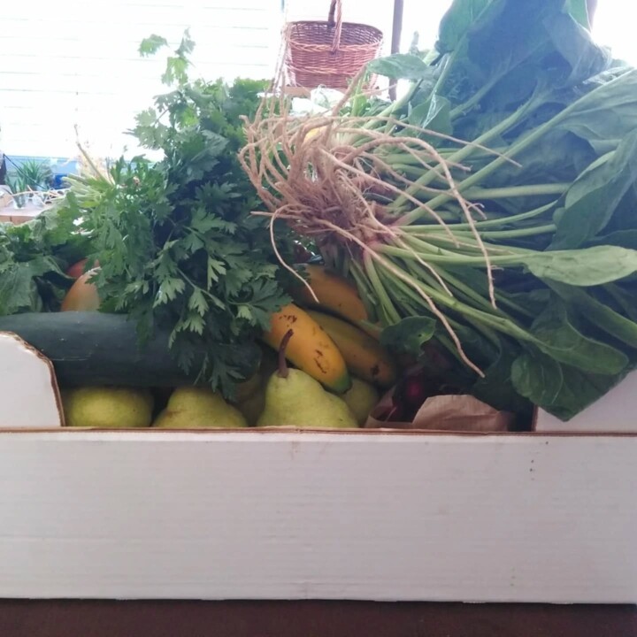 514964964_18486886249066958_2432430420012419257_n.