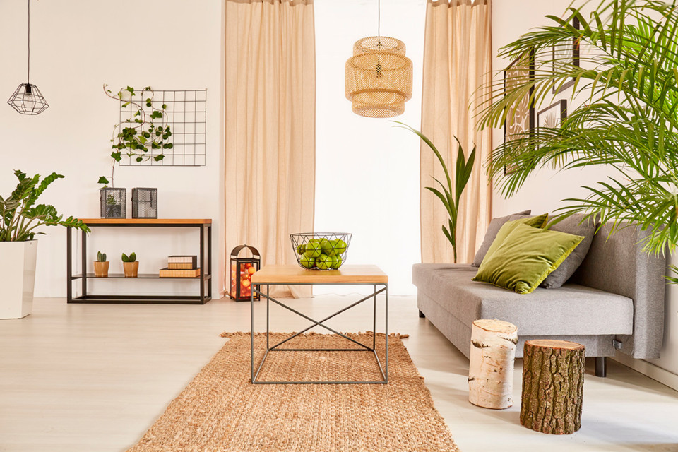 apartamento-com-plantas.jpg