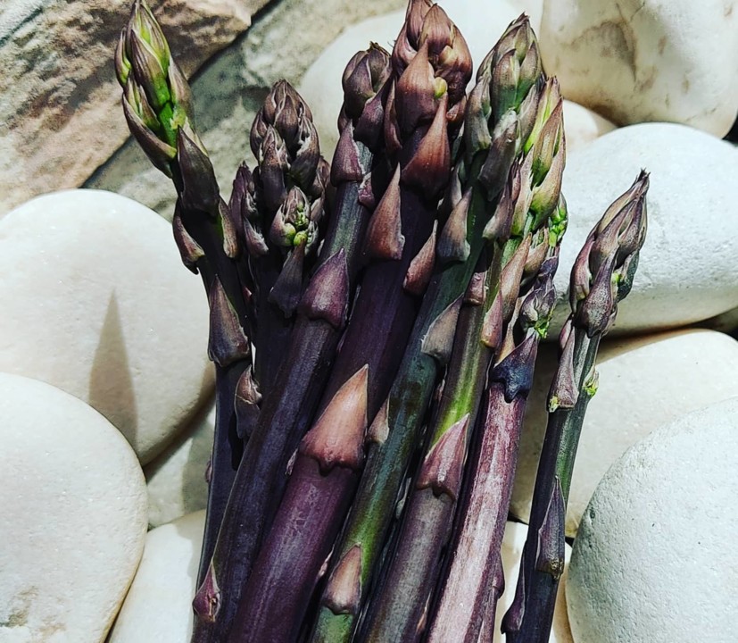 165915185_1982916618514756_3743328599988650794_o.j