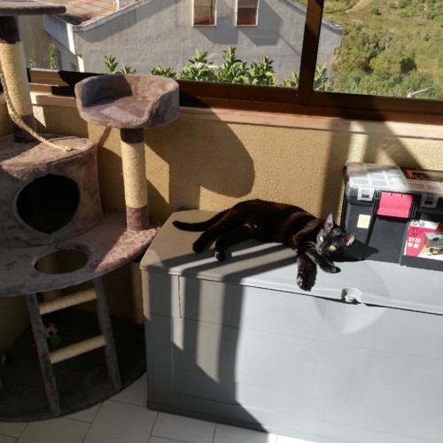 IMG_20181005_193251_626 (003).jpg