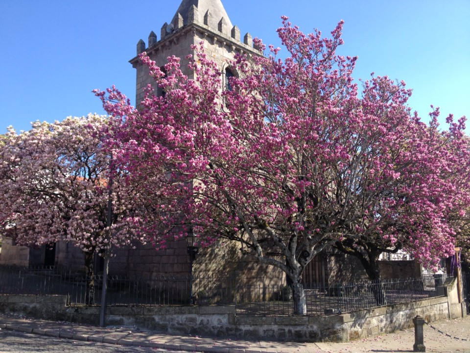 Igreja Águas Santas.JPG