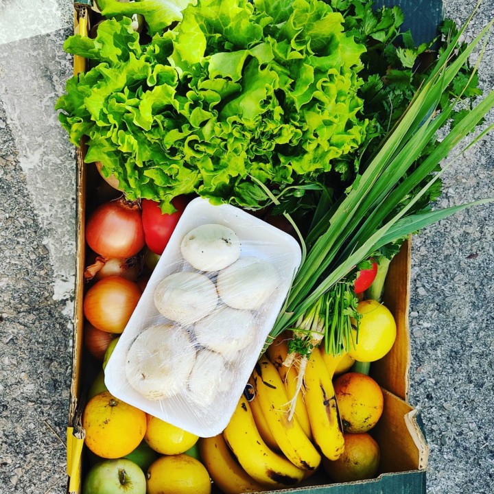 120199073_1826296604176759_3845899614908903948_o.j