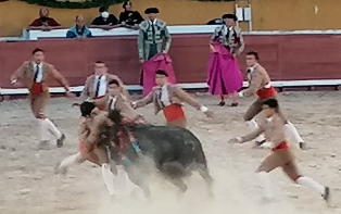 Grupo de Santarém -Set.2021.png