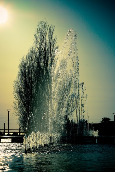 parque dos poetas 5.jpg