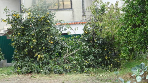 DSC01177.JPG DSC01177.JPG