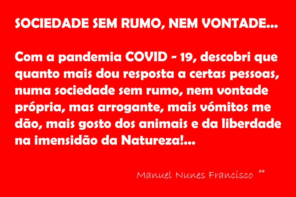 Sociedade sem rumo, nem vontade....jpg