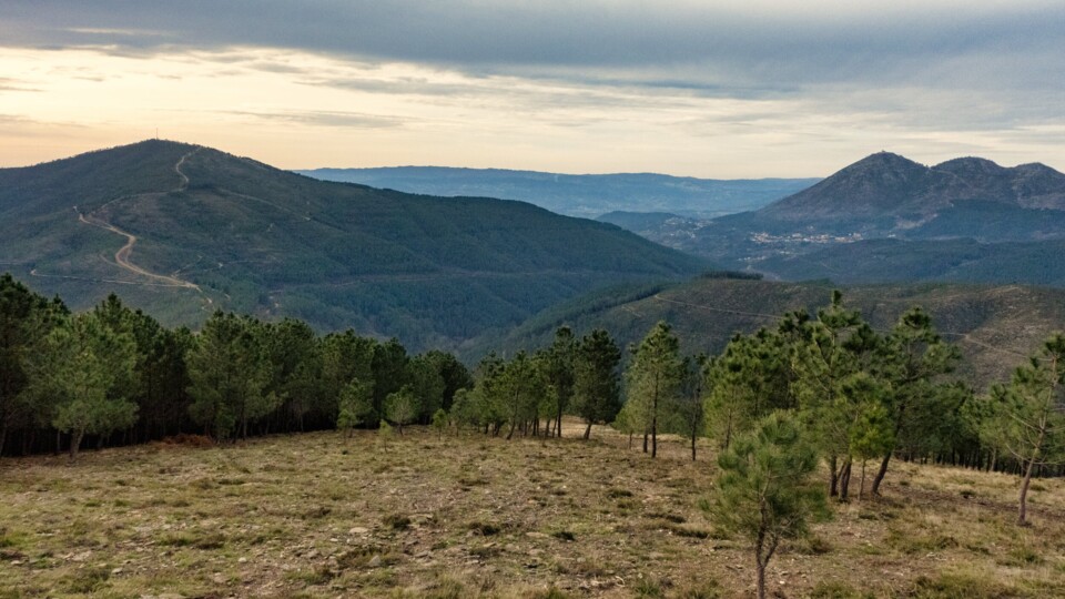 Miradouro Fiscal de Ermelo2.jpg