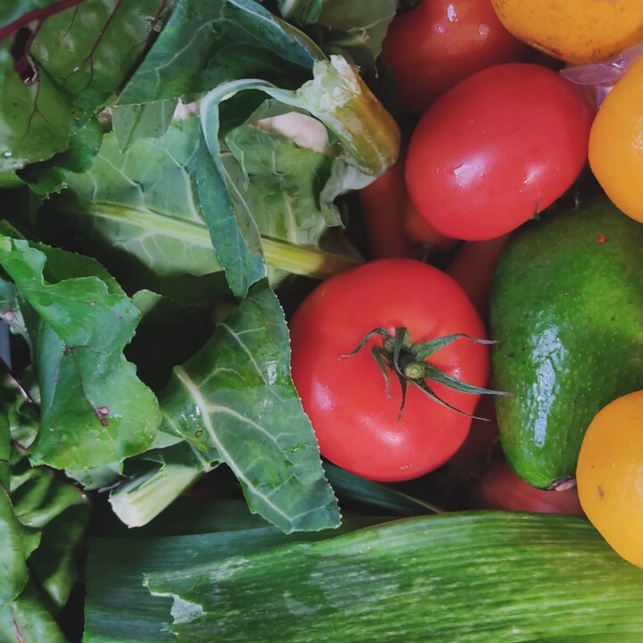 589271409_18516111961066958_1182286653057524631_n.