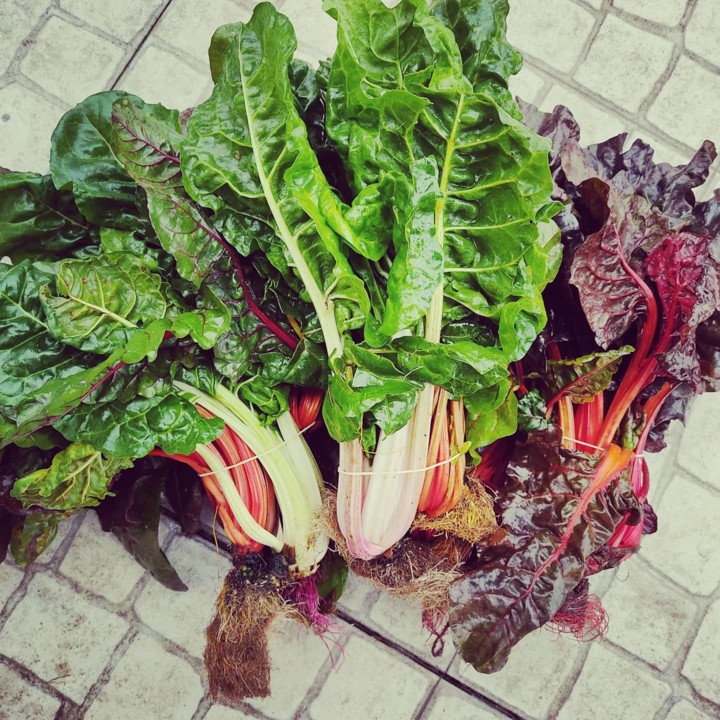 154246990_1960189160787502_8449062068602641534_o.j