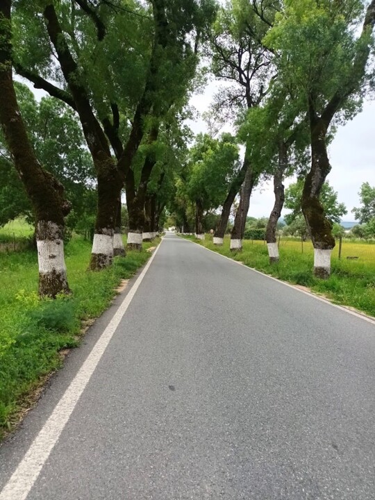 Não me canso disto estrada1.jpg