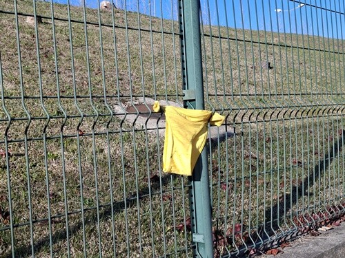 29a_Caminhada_matinal (3).jpg