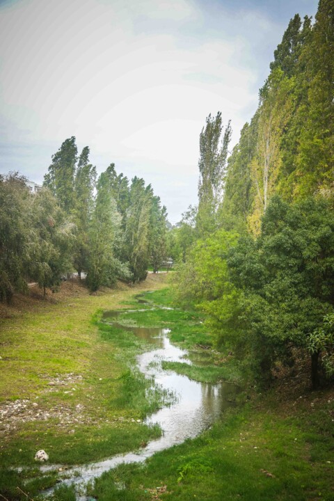 jardim rio da costa 4.jpg
