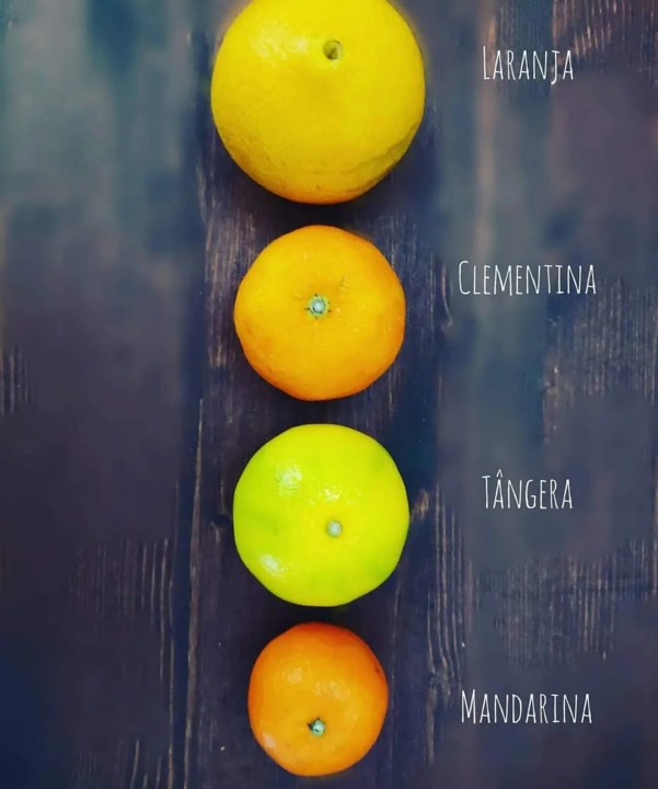 244593273_2136532939819789_4661545626701769426_n.j