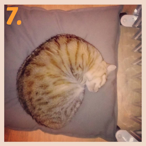 sábado 21.jpg sábado 21.jpg