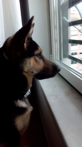 IMG_20151018_134623.jpg IMG_20151018_134623.jpg