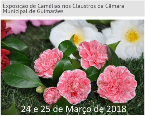 Guimarães - Exposição de Camélias - 24 e 25 de