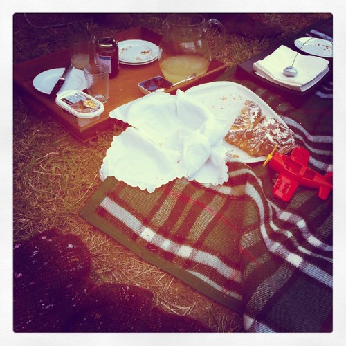 picnic