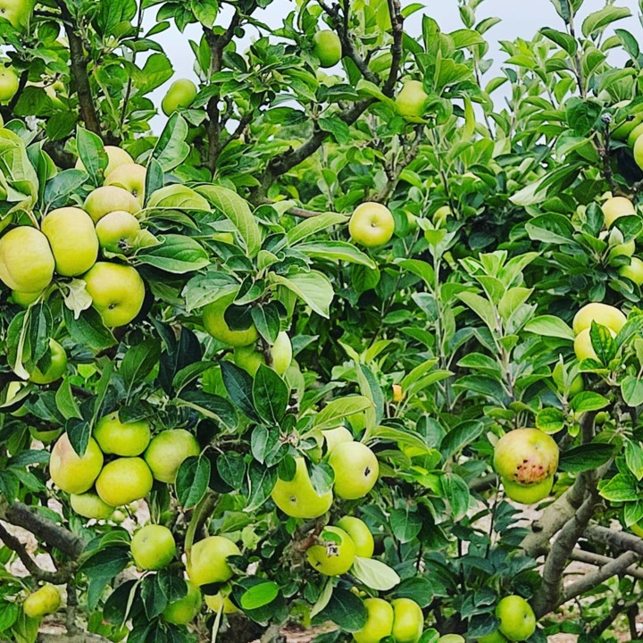 199664154_2048777761928641_6346422253117073795_n.j 199664154_2048777761928641_6346422253117073795_n.j