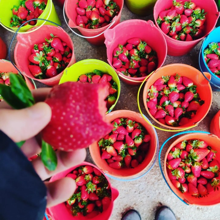 274760645_2246509345488814_6527669835674984557_n.j