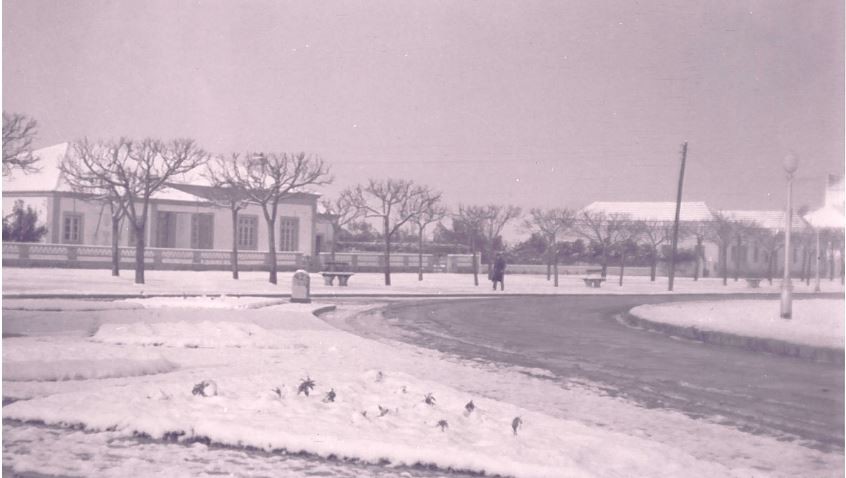 neve em alcacer do sal  2.JPG