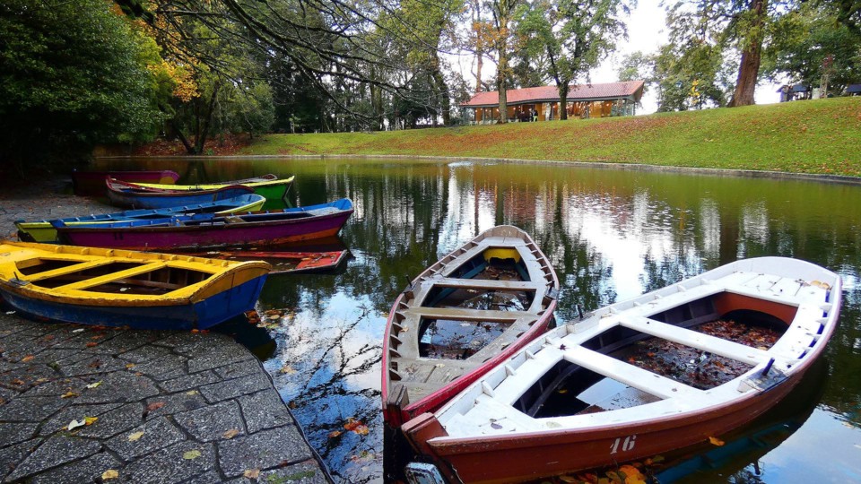 124385662_10218781122014238_1168635550606941438_o.